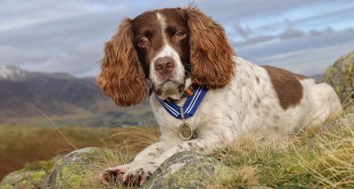 First-ever pet to receive PDSA Order of Merit